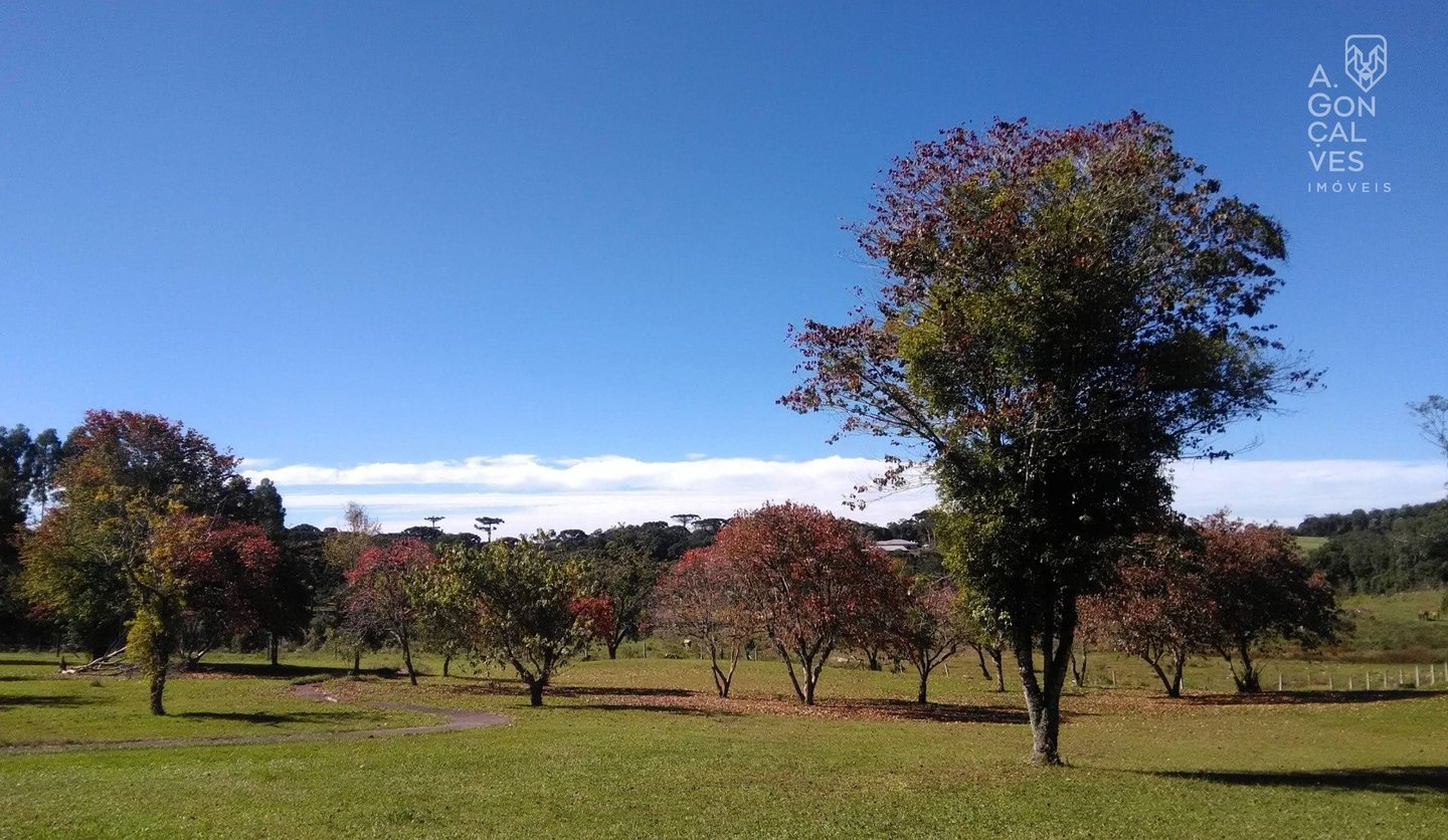 Imóvel 10968